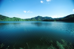 파로호는 '한반도 섬'이 있는 호수로 유명한 곳.