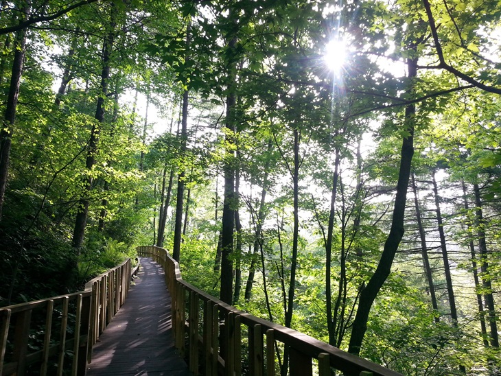아름드리 숲 속으로 걷기 좋은 탐방로가 조성돼 있는 횡성 숲체원