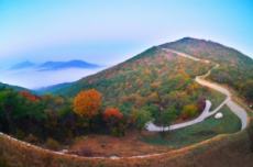 예산군, 올 가을 걷기 좋은 오색단풍 명품숲길 선정!, 국내여행, 여행정보