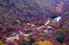 정읍 구절초정원·내장산, 열린관광지 사업 선정 , 국내여행, 여행정보