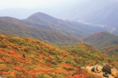 광양시, 짧아진 가을, ‘광양 백운산으로 떠나볼 결심’, 국내여행, 여행정보