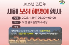 보성군, 2025년 1월 1일 ‘보성 새해 해맞이 행사’ 개최, 국내여행, 여행정보