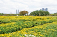 울산시, 2025-2026 한국관광 100선 울산 대표 관광지 3곳 선정 , 국내여행, 여행정보