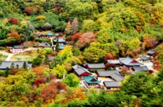 하동군, 화개장터와 쌍계사의 숨결, 한국 관광 100선에 빛나다, 국내여행, 여행정보