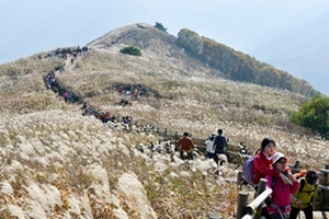 아리랑의 고장 정선에서 즐겁고 풍성한 가을축제 즐기세요.