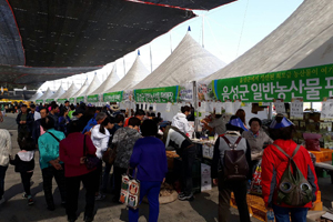 중부권 최대 인삼생산지 음성! 제6회 음성인삼축제 개최