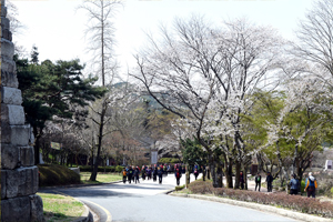 제12회 김제모악산축제 종합프로그램 확정