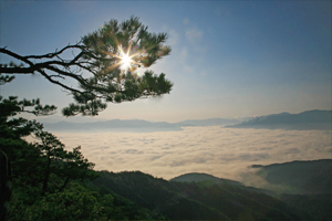 전국 100대 명산 곡성 동악산, 하늘 정원을 품다