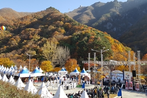 찾아가는 제22회 밀양얼음골 사과축제