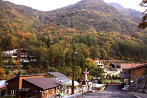 속리산 말티재 주변 새로운 관광명소로 탈바꿈