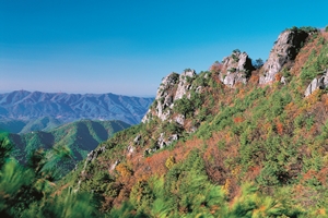 금산군, 대표 볼거리·먹거리·살거리 선정