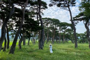 보성군, 코로나19 대응 ‘삼삼오오 보성 여름 여행지’선정 