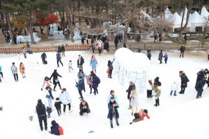 세계에서 가장 아름다운 겨울 여행지에서 즐기는 『2022 Winter Wonder, NAMI ISLAND』