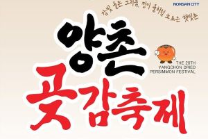 논산의 겨울은 ‘감빛’으로 물든다. 제20회 양촌곶감축제 내달 개막