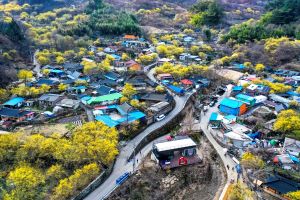 가장 먼저 봄을 맞이하는 꽃, 구례 산수유꽃축제 4년 만에 개최