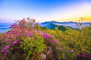 계룡시 공정여행, 계룡으로 9景 오세요