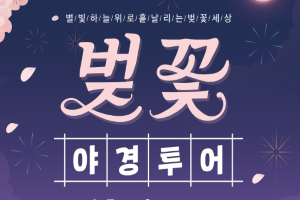 올해 처음 열린는 ‘2023 단양 벚꽃 야경투어’ 4월 7∼9일 팡파르!