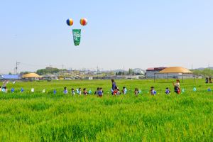 제18회 군산꽁당보리축제로 놀러오세요.