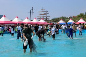 5월 13일, 제17회 서천 자연산 광어·도미 축제 열려