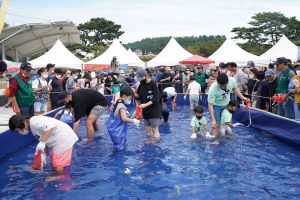 보령시, 2023 무창포 가을 대하·전어 축제, 무창포로 오세요! 