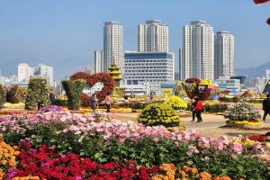 창원시, 3주간 가을 축제 기간,올가을 창원에 오면 축제들이‘팡팡’