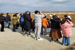 서산시, 서산버드랜드에서 힐링하세요!