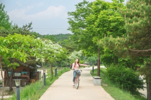 3월, 여행하기 딱 좋은 곳 ‘경북 영주’