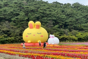 세계유산도시 고창에 활짝핀 꽃정원 ‘관광객 사로잡는다’