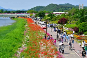 장성군 황룡강 길동무 꽃길축제, 황룡강 일원에서 24일 개막