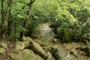 강진군, 삼복더위 앞두고 월출산 경포대 계곡 한시 개방 