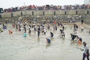 서산시, 우럭을 맛보고 맨손으로 붕장어 잡고, 제18회 삼길포우럭축제