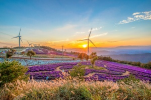 거창군, ‘바람 좋은 날’ ‘제4회 감악산 꽃&별 여행’ 행사 개최 