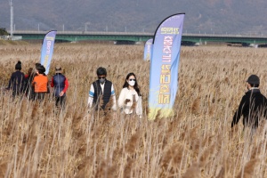 강진군, 어느 멋진 가을날의 추억, 강진만 춤추는 갈대축제 10월 26일 개막