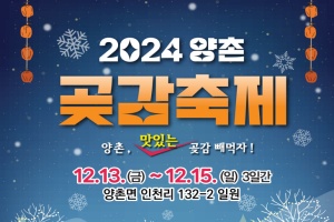 논산시, ‘맛있는 곶감 빼먹자!’ 12월을 물들일 양촌곶감축제 13일 개막