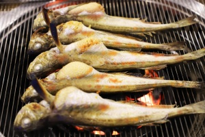 양양군, 지금이 가장 맛있다! 제14회 양양물치항 도루묵 축제 개최