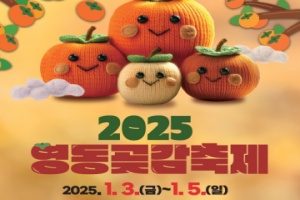 영동군, 감4한 영동의 유혹, 2025 영동곶감축제 1월 3일 개막 