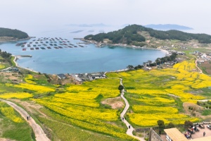 완도 청산도, ‘2024 한국 관광의 별’ 선정